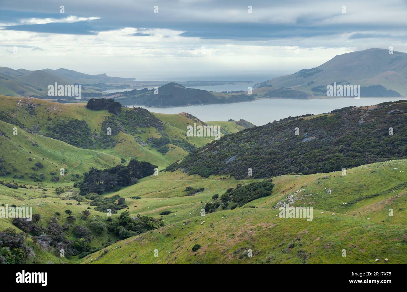 Malerische Halbinsel Otago auf South Island von Neuseeland Stockfoto