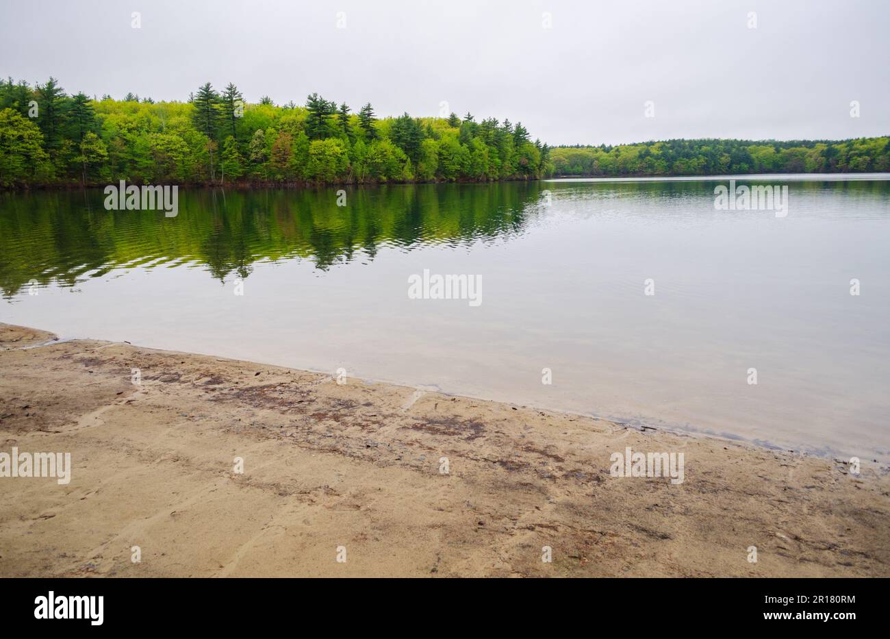 Walden Pond, berühmter Teich in Concord, Massachusetts Stockfoto