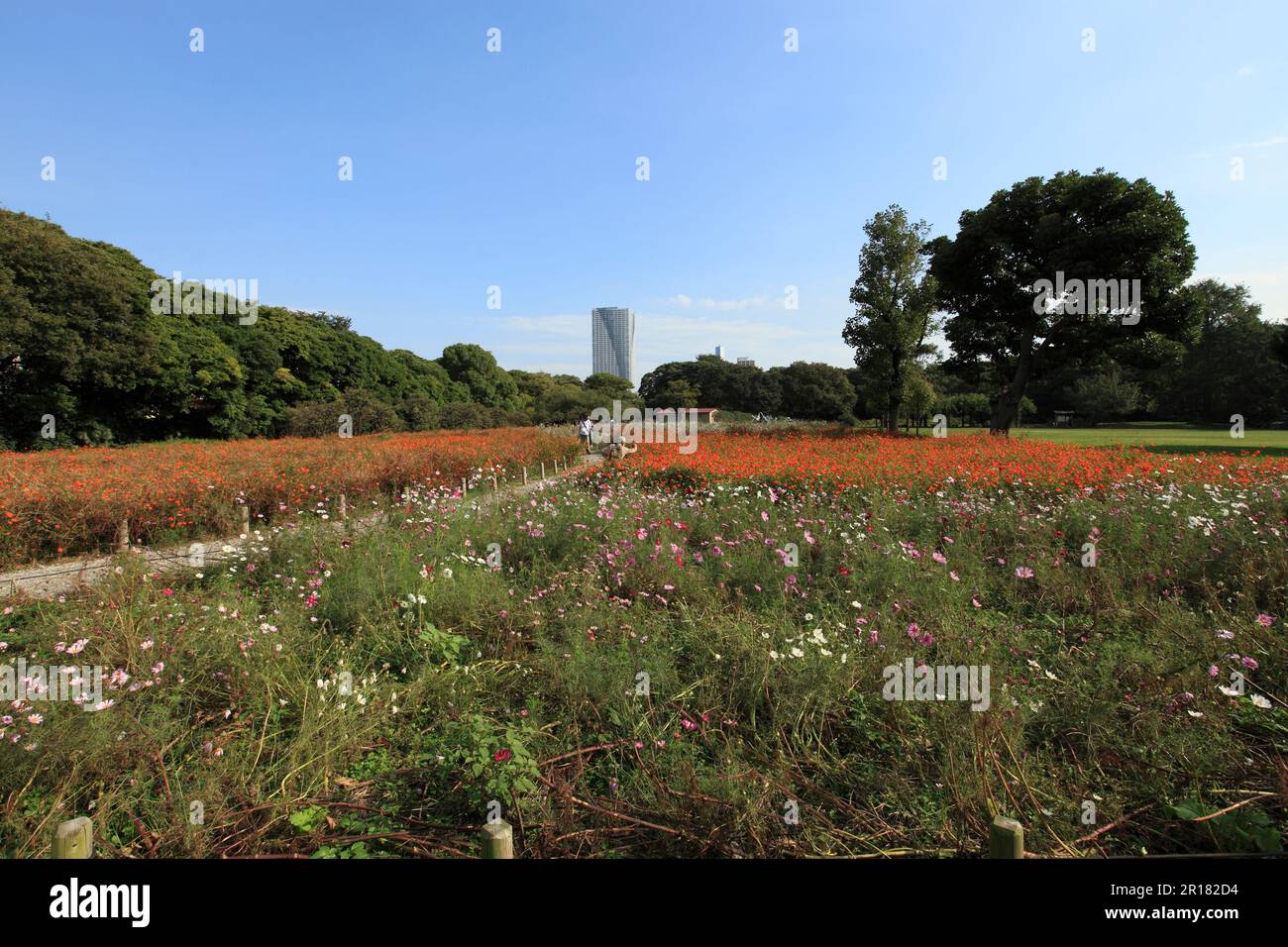 Hama-Rikyu-Garten Stockfoto