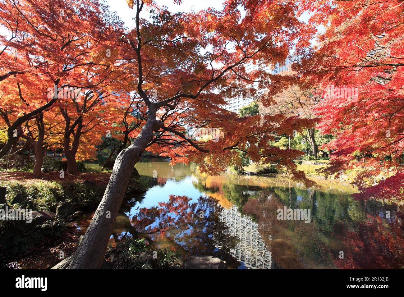 Hibiya Park Stockfoto