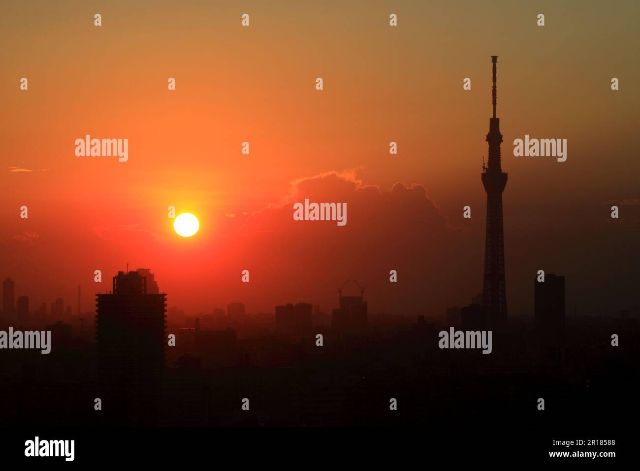 Blick auf den Sonnenuntergang über den Tokyo-Himmelsbaum von Funabori Stockfoto