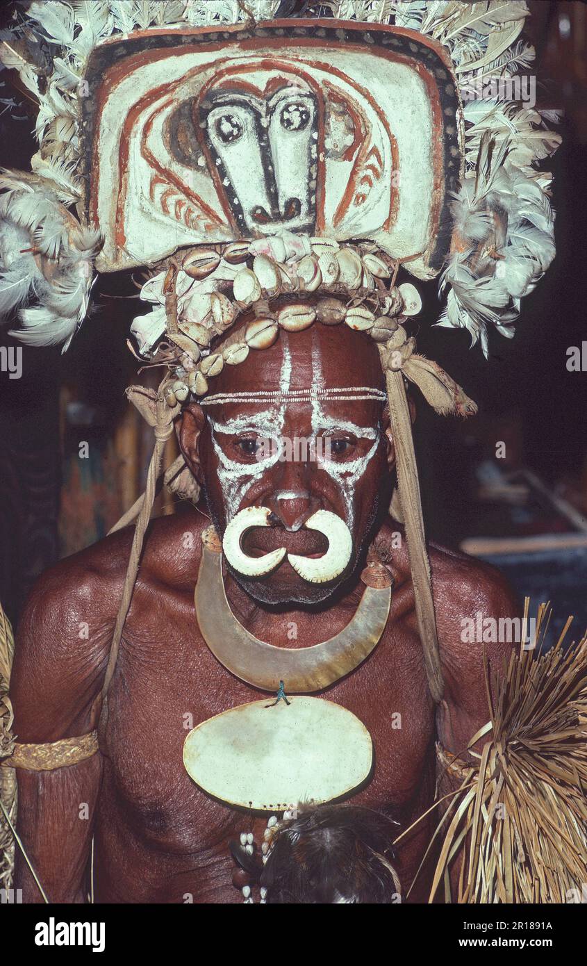 Mambi, ein alter Headhunter und Kannibale; ein Mann aus dem Gebiet des Ymis-Sees in der oberen Sepik-Region von Papua-Neuguinea. In seinem Leben hat er bekanntermaßen 8 Menschen getötet und gegessen. Er wurde in der Karawari Lodge fotografiert, wo er vor seinem Tod Bambusflöte spielte und für Touristen tanzte. Das Muschelschmuck, das er auf seiner Brust trägt, ist mit Löchern versehen, die jeden seiner Tötungen darstellen. Stockfoto