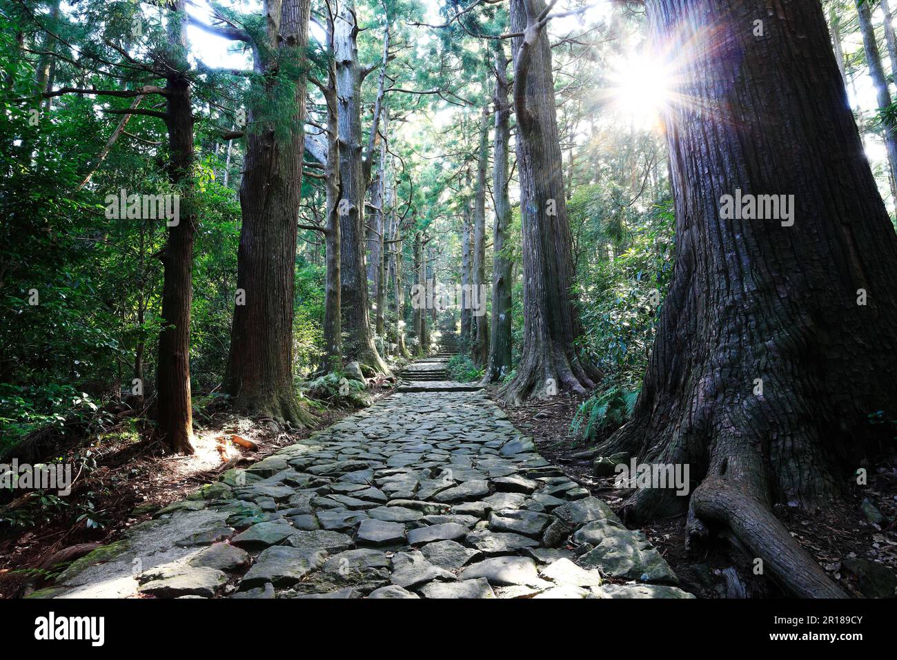 Daimon Slope Kumano Kodo Stockfoto