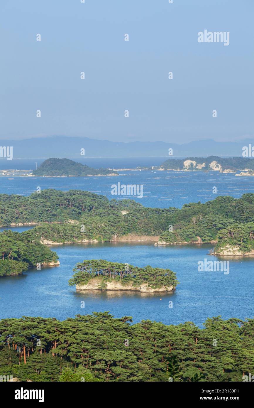 Matsushima im Sommer Stockfoto
