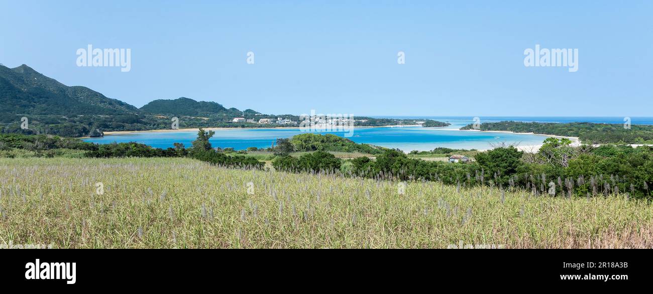 Kabira Bay mit Blick über Felder mit geerntetem Zuckerrohr Stockfoto