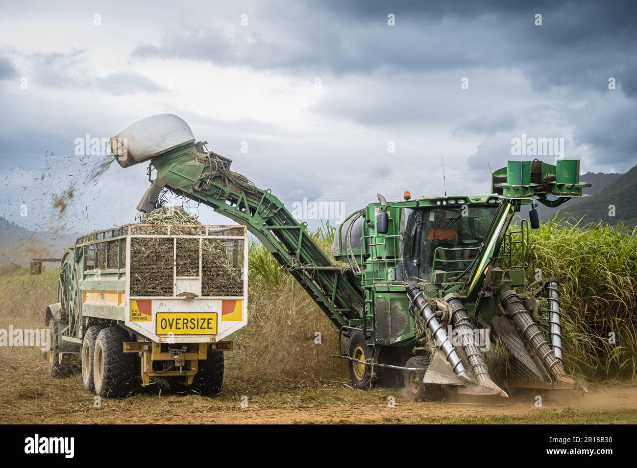 Zuckerrohrfarmer in einer Zuckerrohrerntemaschine und einem folgenden Zuckerrohrbehälter, während sie auf dem Feld reife Zuckerrohrstöcke in Cairns, Qld, Australien ernten Stockfoto