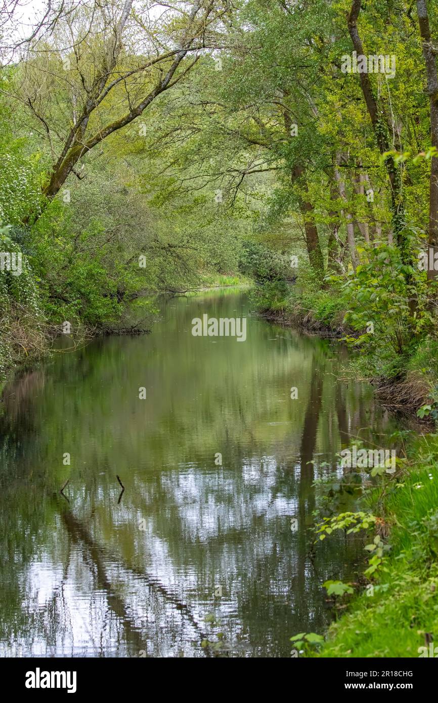 Das ruhige und abgeschiedene Wasser des Flusses Holme in Yorkshire an einem Frühlingstag mit frischen grünen Frühlingspflanzen auf Bäumen, die den Fluss umschließen Stockfoto