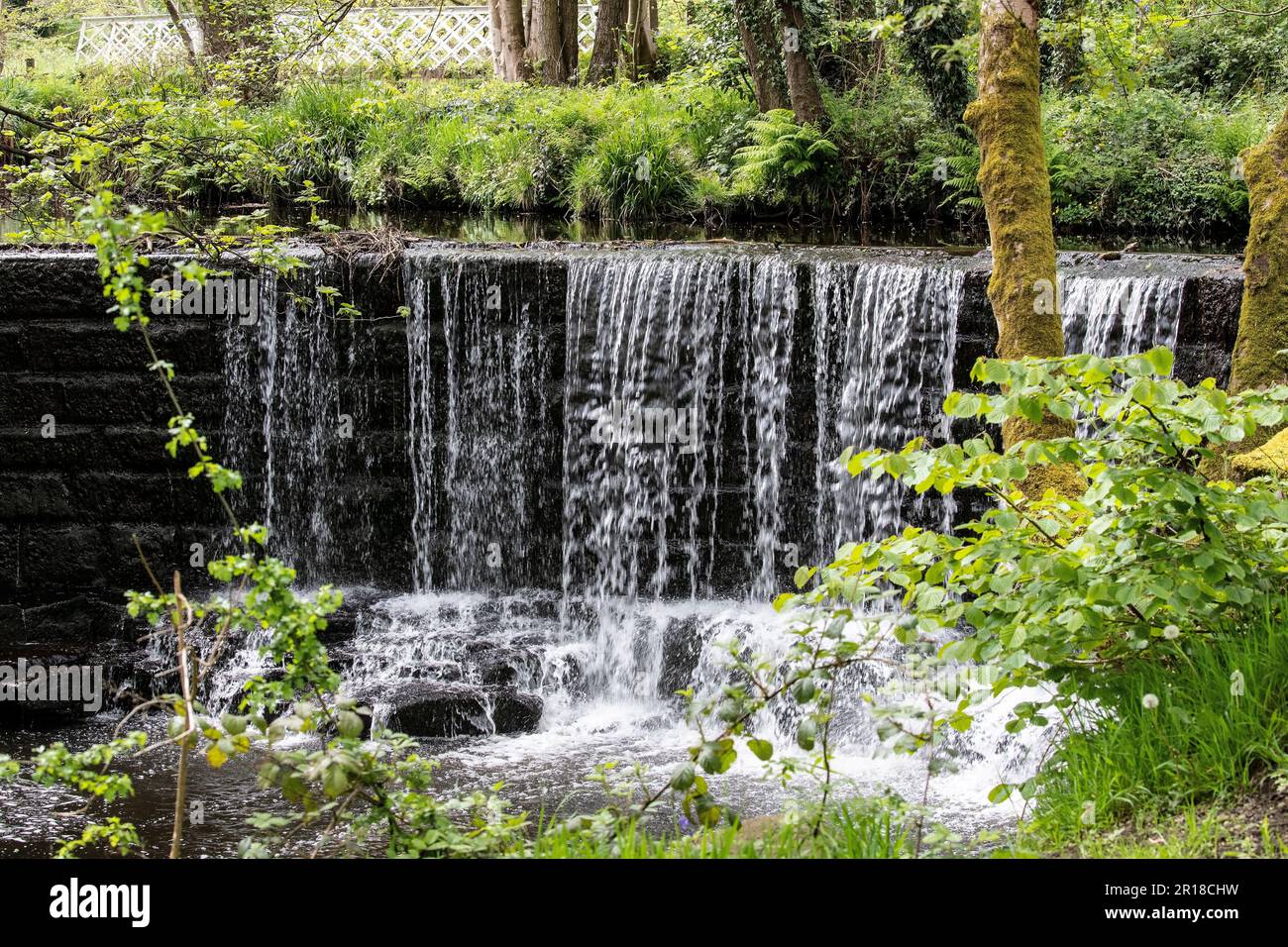 Ein kleiner Wasserfall auf dem Fluss Holme in West Yorkshire in Magdale bietet im Frühling eine malerische Szene, während das neue Laub das Wasser umgibt Stockfoto