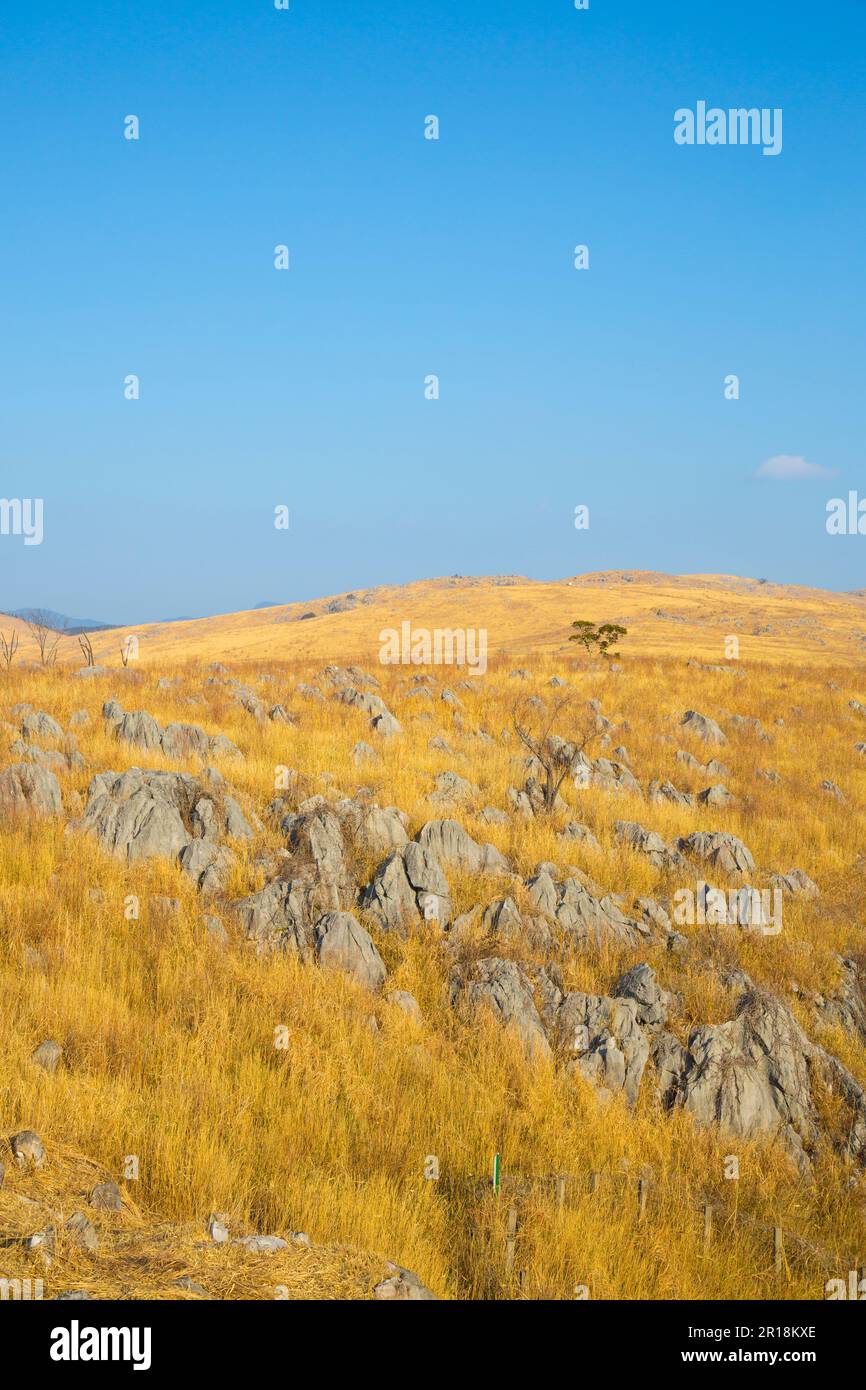 Quasi-Nationalpark Akiyoshidai im Winter Stockfoto