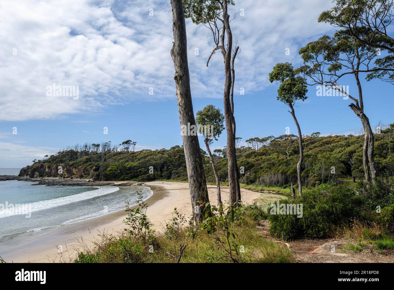 Lilli Pilli Beach, New South Wales, Australien Stockfoto