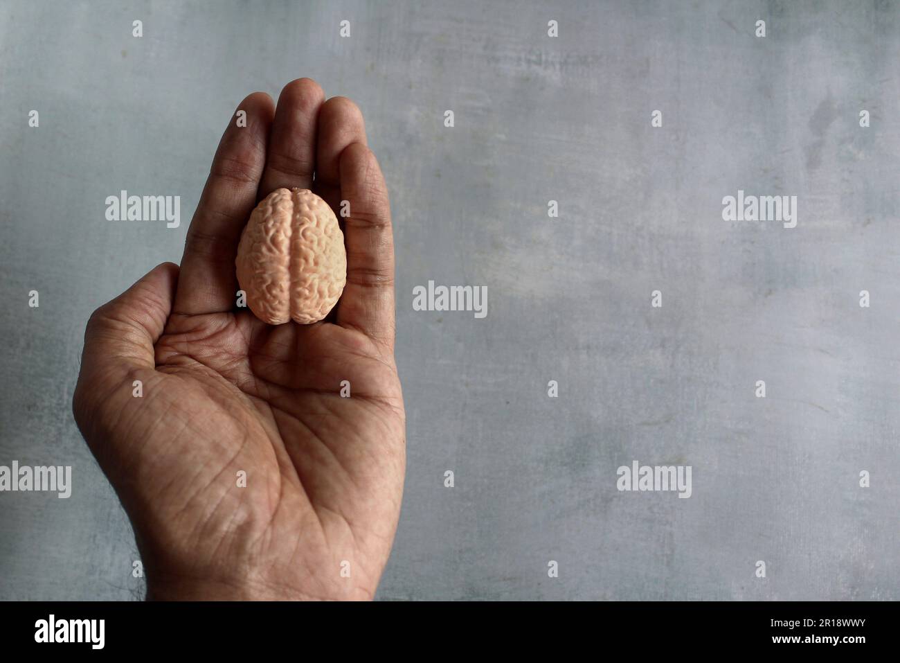 Hand haltendes Miniaturgehirn mit Kopierraum für Text. WeltAlzheimer-Tag und Welttag der psychischen Gesundheit Stockfoto