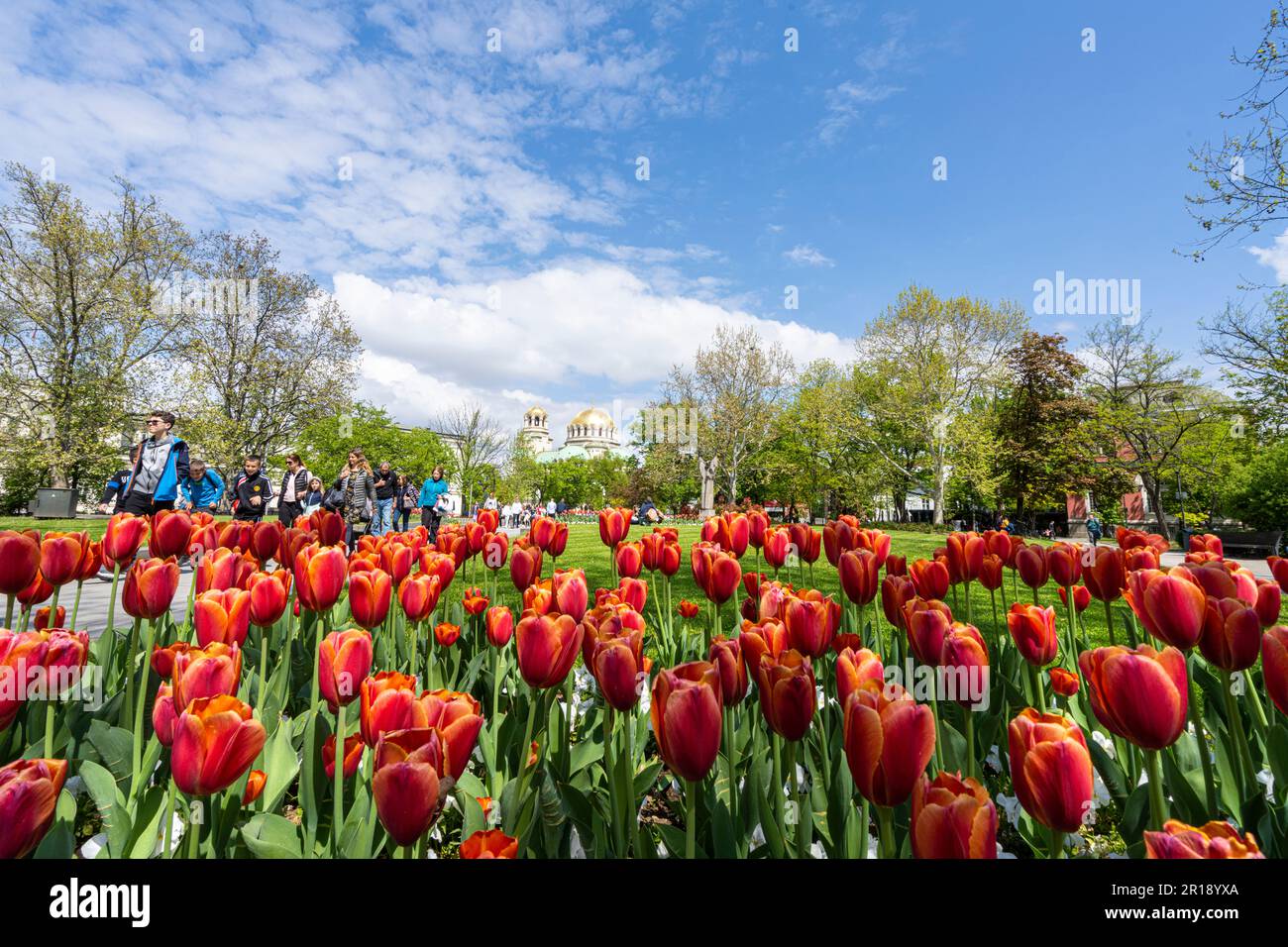 Sofia, Bulgarien. Mai 2023. Rote Tulpen im St. Kl. Ohridski-Gärten mit den Kuppeln der Alexander-Newski-Kathedrale im Hintergrund Stockfoto