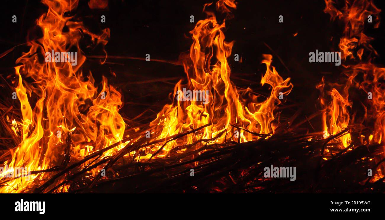 Schöne, stilvolle Feuerflammen in der Nacht. Flamme mit brennenden roten, heißen Funken auf schwarzem Hintergrund Stockfoto