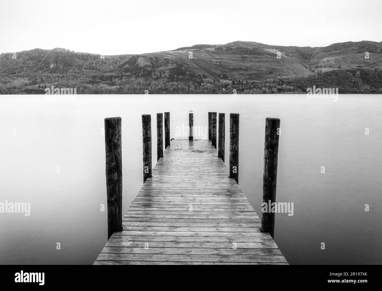 Low Brandelhow Jetty, Derwentwater, Lake District National Park, Cumbria, England Stockfoto