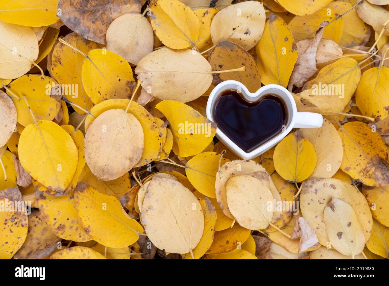 Herzförmige Kaffeetasse auf leuchtend gelben Blättern im Wald. Herbststimmung. Saisonale Depression. Der Herbst ist meine Lieblingszeit des Jahres Stockfoto