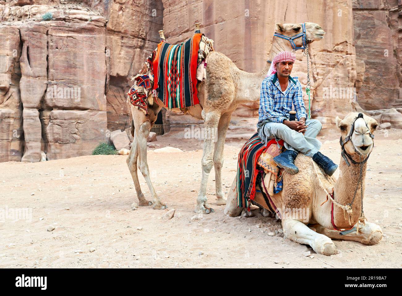 Jordanien. Archäologische Stätte Petra. Kamele bereit für Touristenreiten Stockfoto