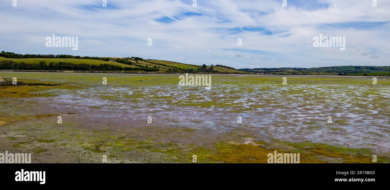 Riesige Gezeitenebenen im Süden Irlands an einem Sommertag. Irische Landschaft. Ein Gezeitenmarsch, das durch die Gezeitenbewegung der Nachbarschaft überflutet und abfließt Stockfoto