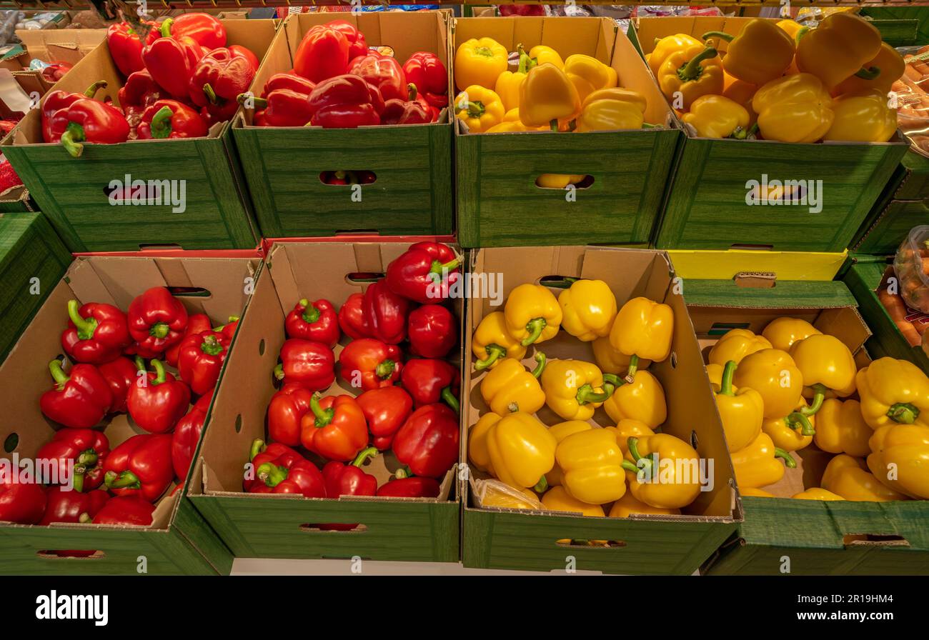 Gelbe und rote Paprika in grünen Kartons auf dem Regal für den Verkauf auf dem Markt Stockfoto
