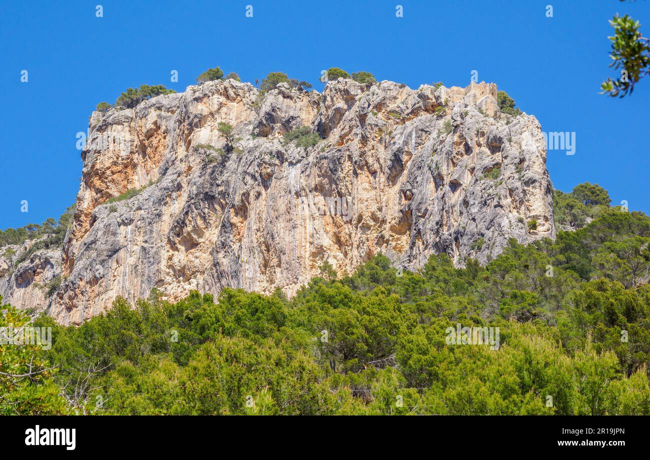 Steile Felswände des Puig d'Alaro-Geländes Castell D'Alaro im Tramuntana-Gebirge Mallorcas, Spanien Stockfoto