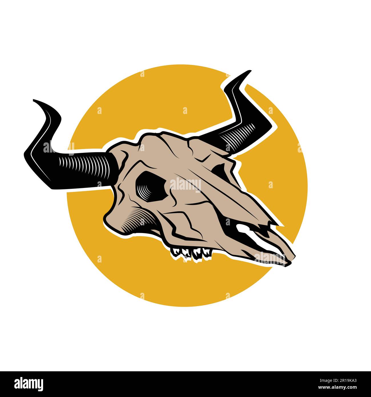 Schädel eines Bullen. Vektordarstellung auf weißem Hintergrund. Stock Vektor