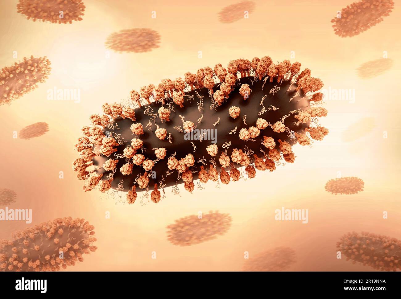 Human Respiratory Syncytial Virus (RSV) Kreatives Layout mit 3D Renderings des Respiratory Syncytial Virus (RSV), ein verbreitetes ansteckendes Virus, das die menschlichen Atemwege infiziert. Kredit: NIAID Stockfoto