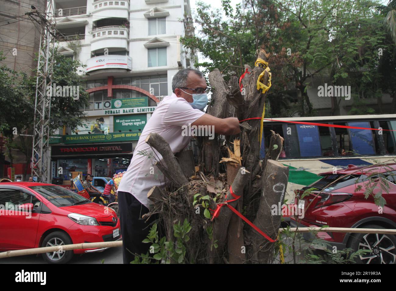 Baumschnitt, Dhanmondi Saat Masjid Road 12may2023, Dhanmondi Saat Masjid Road Trennlinie Baumschnitt Stop und einheimische Arten arbeiten an der Stelle des Schnitts Stockfoto