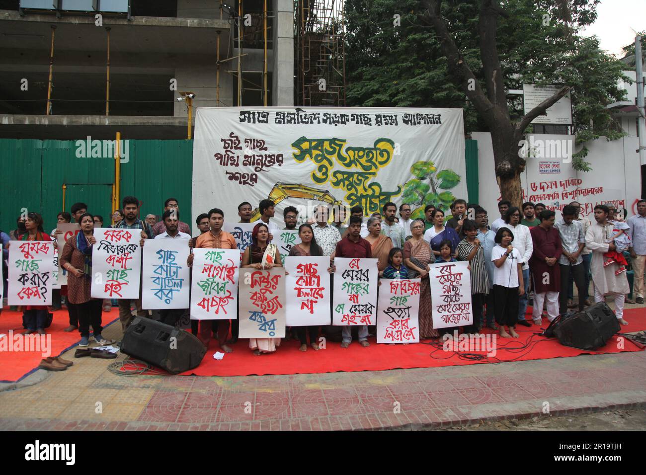 Baumschnitt, Dhanmondi Saat Masjid Road 12may2023, Dhanmondi Saat Masjid Road Trennlinie Baumschnitt Stop und einheimische Arten arbeiten an der Stelle des Schnitts Stockfoto