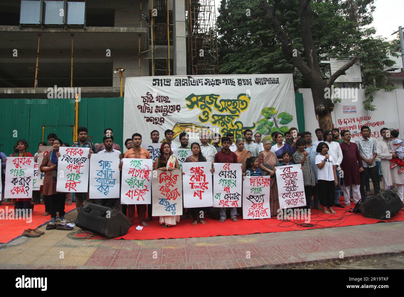 Baumschnitt, Dhanmondi Saat Masjid Road 12may2023, Dhanmondi Saat Masjid Road Trennlinie Baumschnitt Stop und einheimische Arten arbeiten an der Stelle des Schnitts Stockfoto