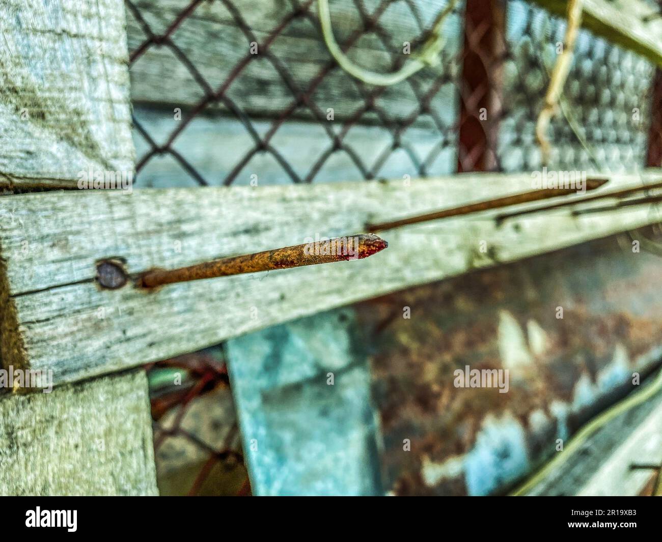 Textur, Hintergrund. Natürliches, verarbeitetes Holz. Die Struktur der Baumstämme, die Bäume sind hinter einem Metallgitter. Ein alter, rostiger Nagel ragt aus dem Brett heraus. Stockfoto