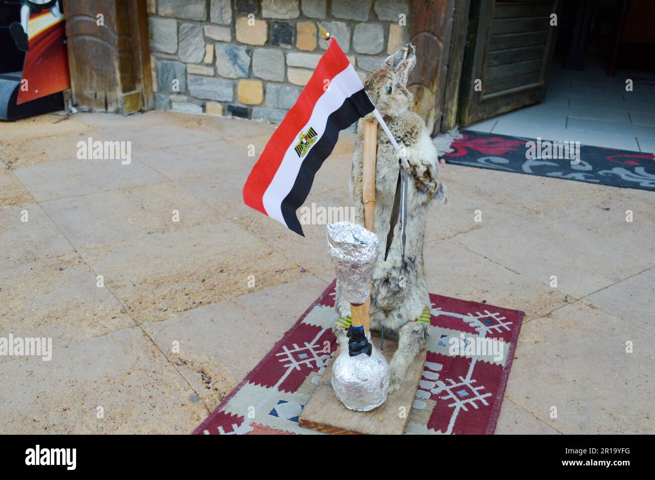 Der graue Hase steht auf dem Teppich, hält die ägyptische Flagge in den Pfoten und raucht eine Wasserpfeife, eine Vogelscheuche. Stockfoto