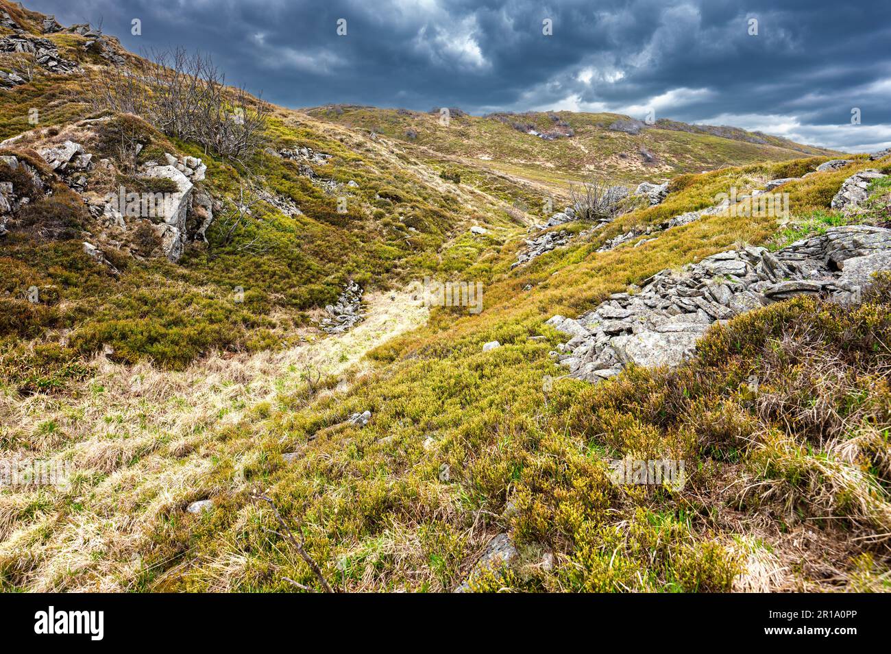 Frühlingslandschaft von Połonina Wetlińska mit dem Berg Osadzki Wierch im Bieszczady-Gebirge. Stockfoto