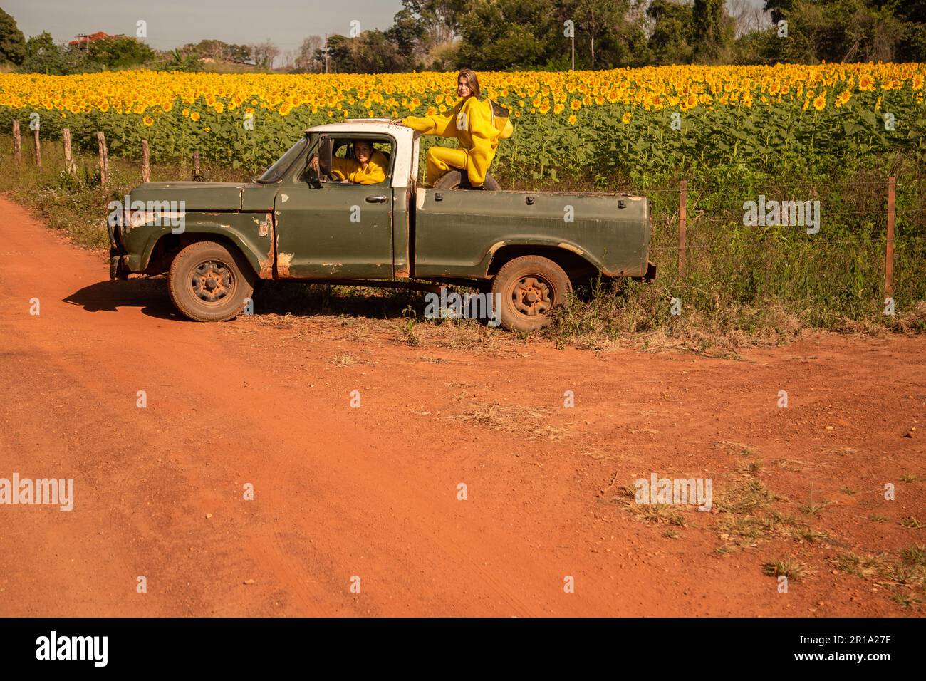 Goiânia, Goias, Brasilien – 11. Mai 2023: Zwei Imker in einem Pickup, geparkt auf einer unbefestigten Straße, besuchen ein Sonnenblumenfeld. Stockfoto
