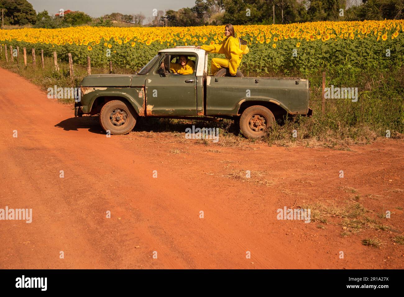 Goiânia, Goias, Brasilien – 11. Mai 2023: Zwei Imker in einem Pickup, geparkt auf einer unbefestigten Straße, besuchen ein Sonnenblumenfeld. Stockfoto