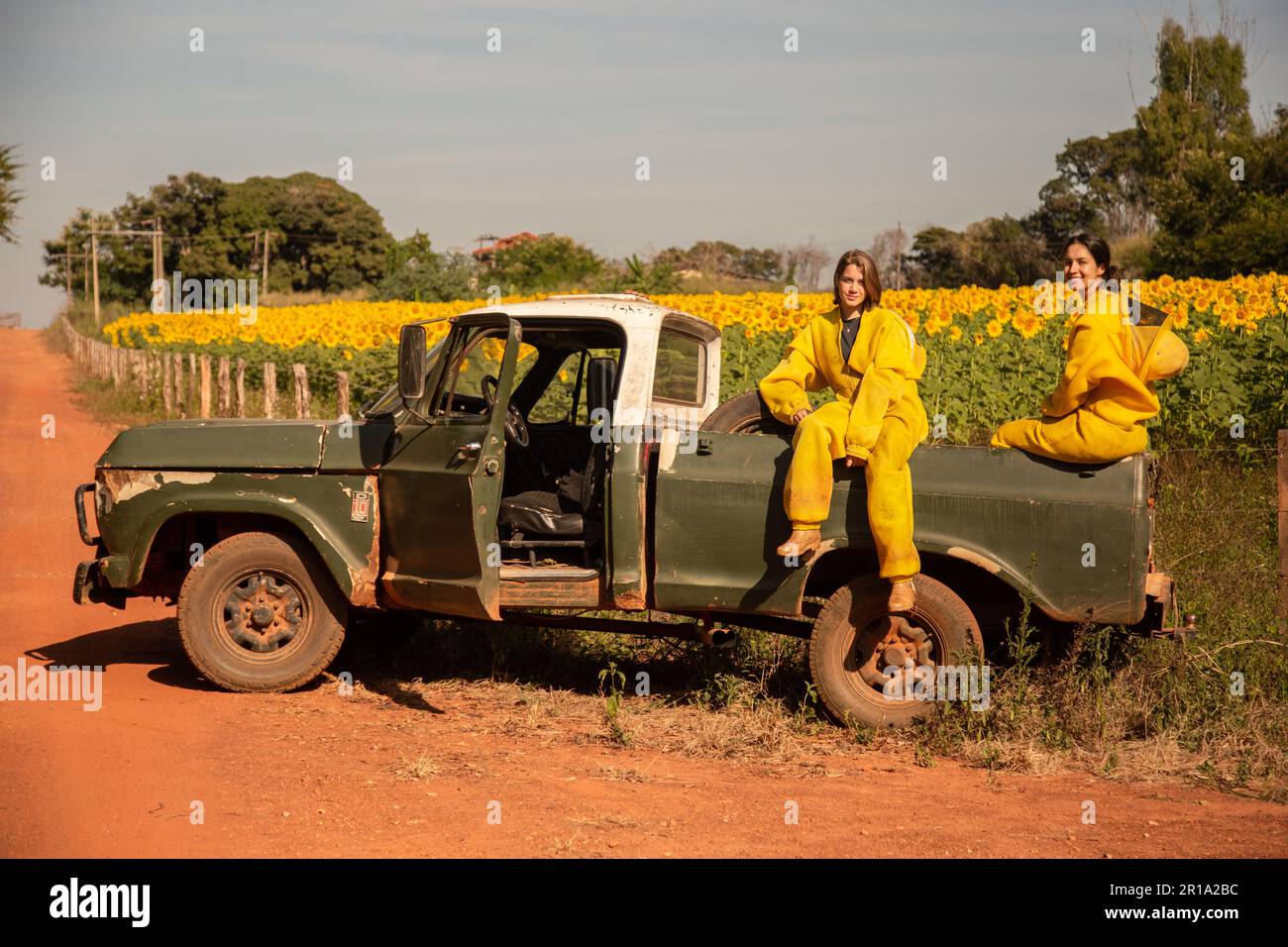 Goiânia, Goias, Brasilien – 11. Mai 2023: Zwei Imker in einem Pickup-Truck, die eine Sonnenblumenplantage besuchen. Stockfoto