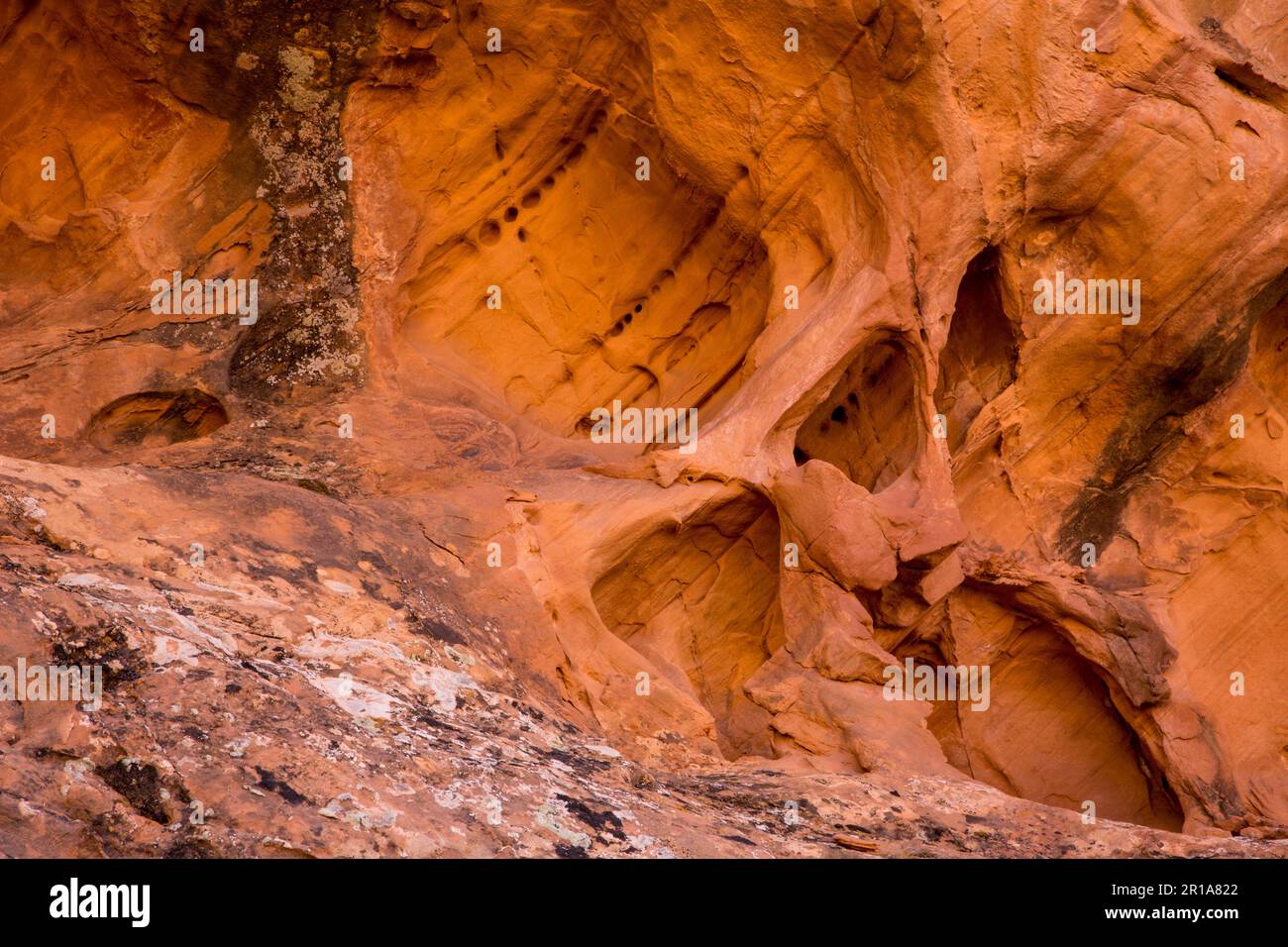 Komplizierte Erosionsmuster, darunter ein Mikrobogen, in der Sandsteinwand des Muley Twist Canyon, Capitol Reef National Park, Utah. Stockfoto