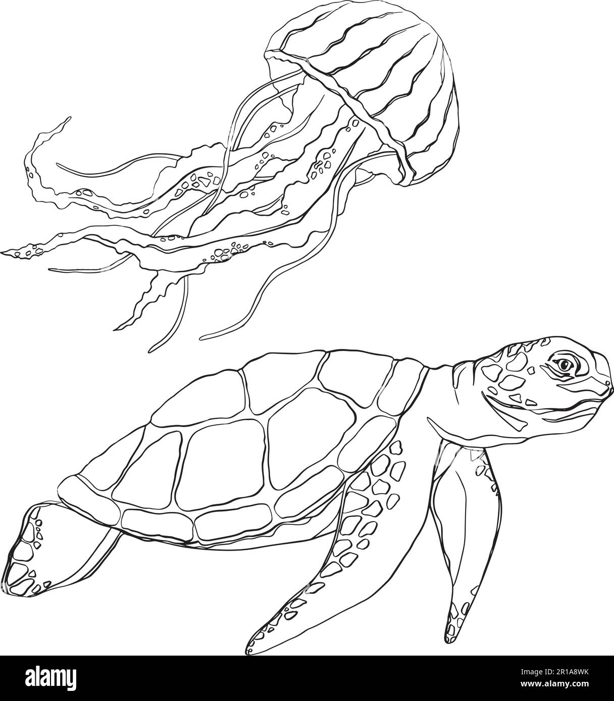 Handgezeichnete Kritzelquallen, Schildkröten. Vektordarstellung. Handgezeichnete Quallen, Schildkröten. Vektordarstellung von Quallen, Schildkröten-Design auf Weiß Stock Vektor