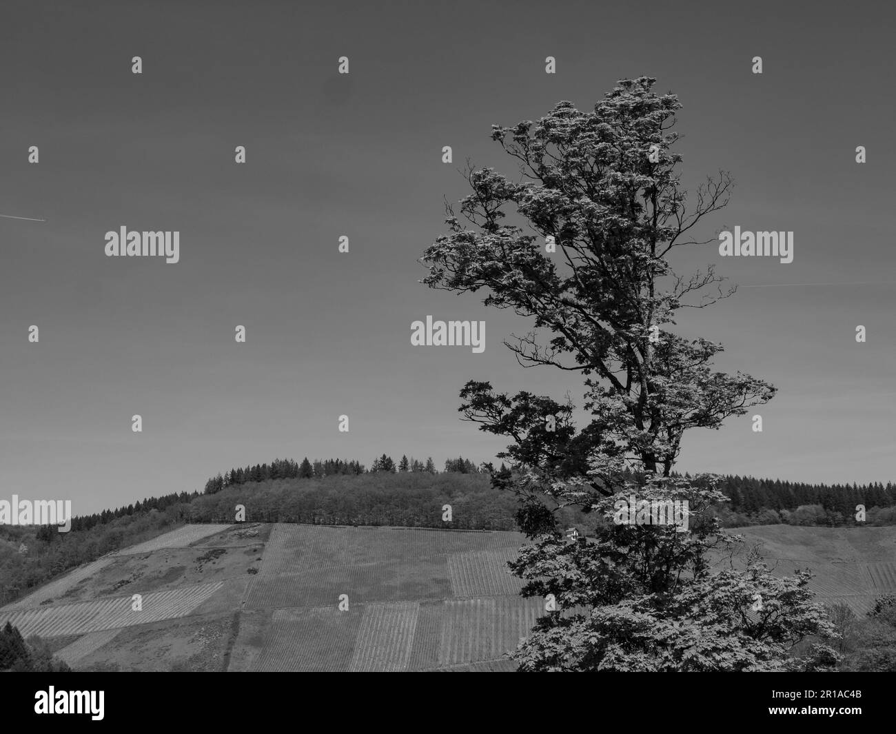 Saarbürog Stadt am saar Fluss Stockfoto