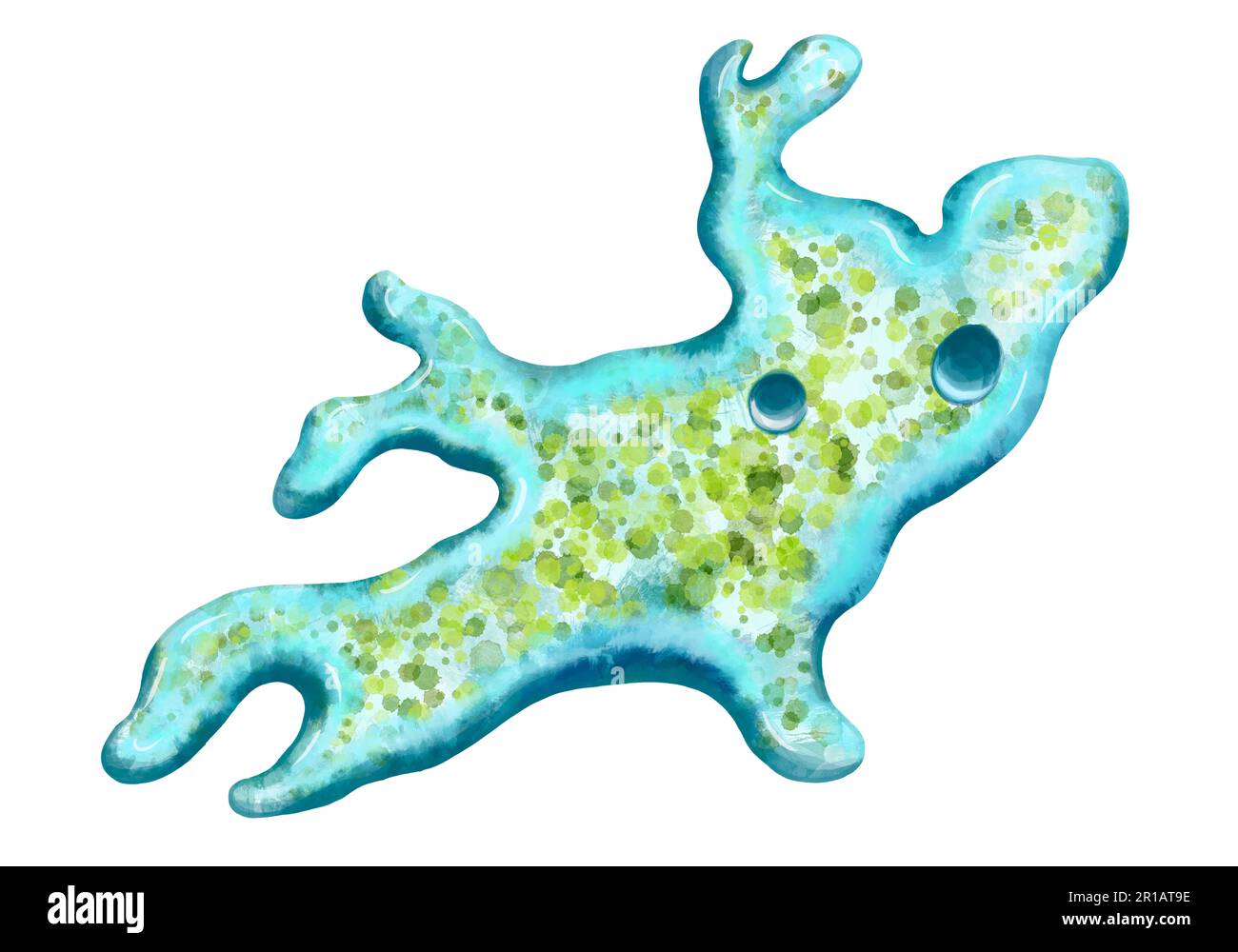 Bakterien-Nahaufnahme, einzellige Protozoen-Mikroorganismen. Farbdarstellung für den Druck in Lehrbüchern, medizinischen Broschüren, Aufklebern, Postern und anderen Druckformen. Mikrobiologie. Qualitativ hochwertige Darstellung Stockfoto