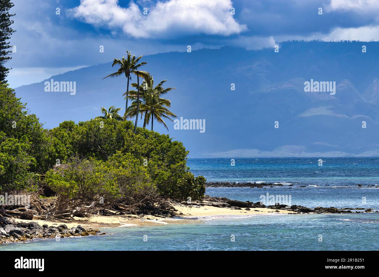 Abgeschiedener Strand mit Palmen und Molokai in der Ferne. Stockfoto