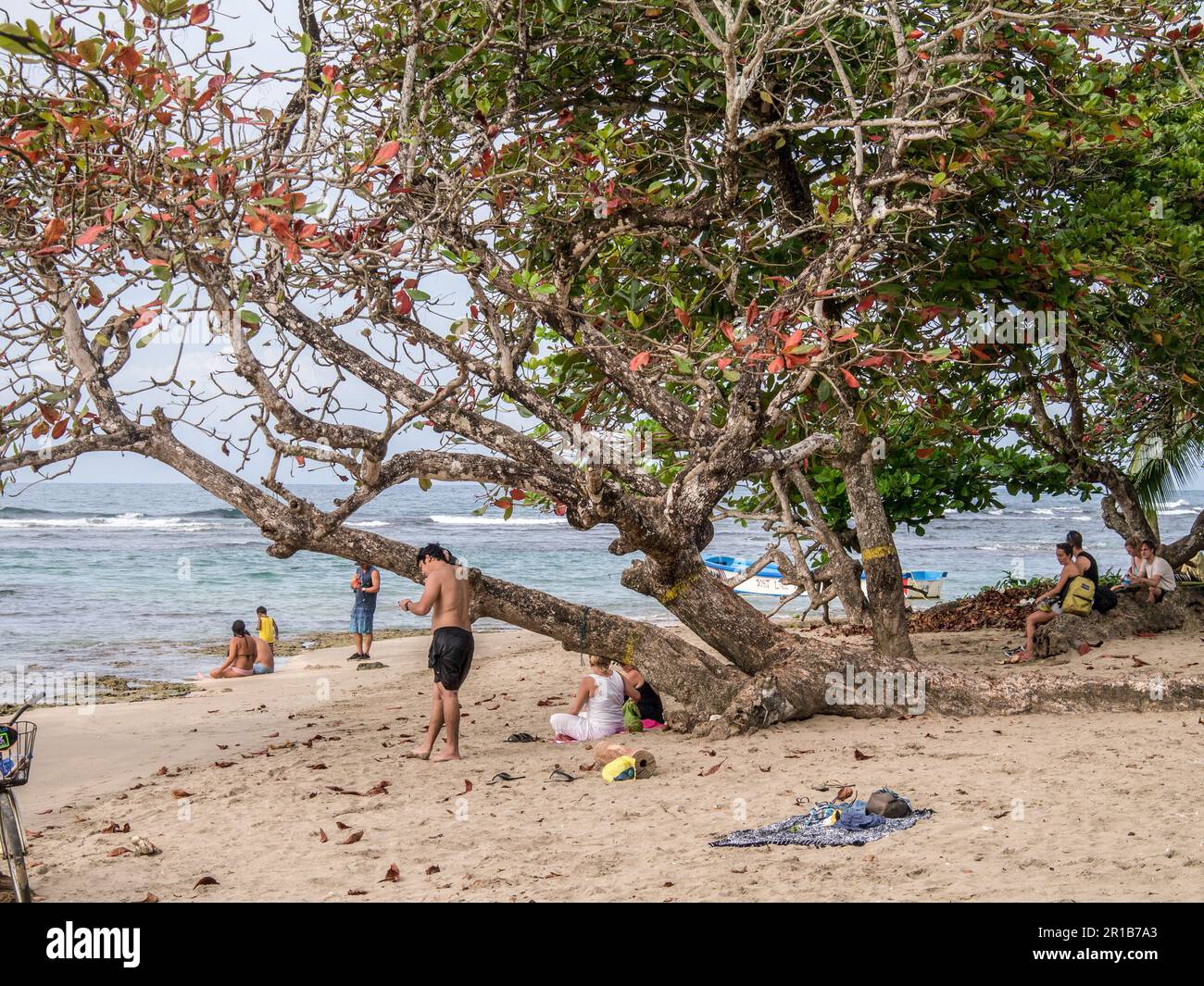 Leute, die einen karibischen Strand in Puerto Viejo, Costa Rica genießen. Stockfoto
