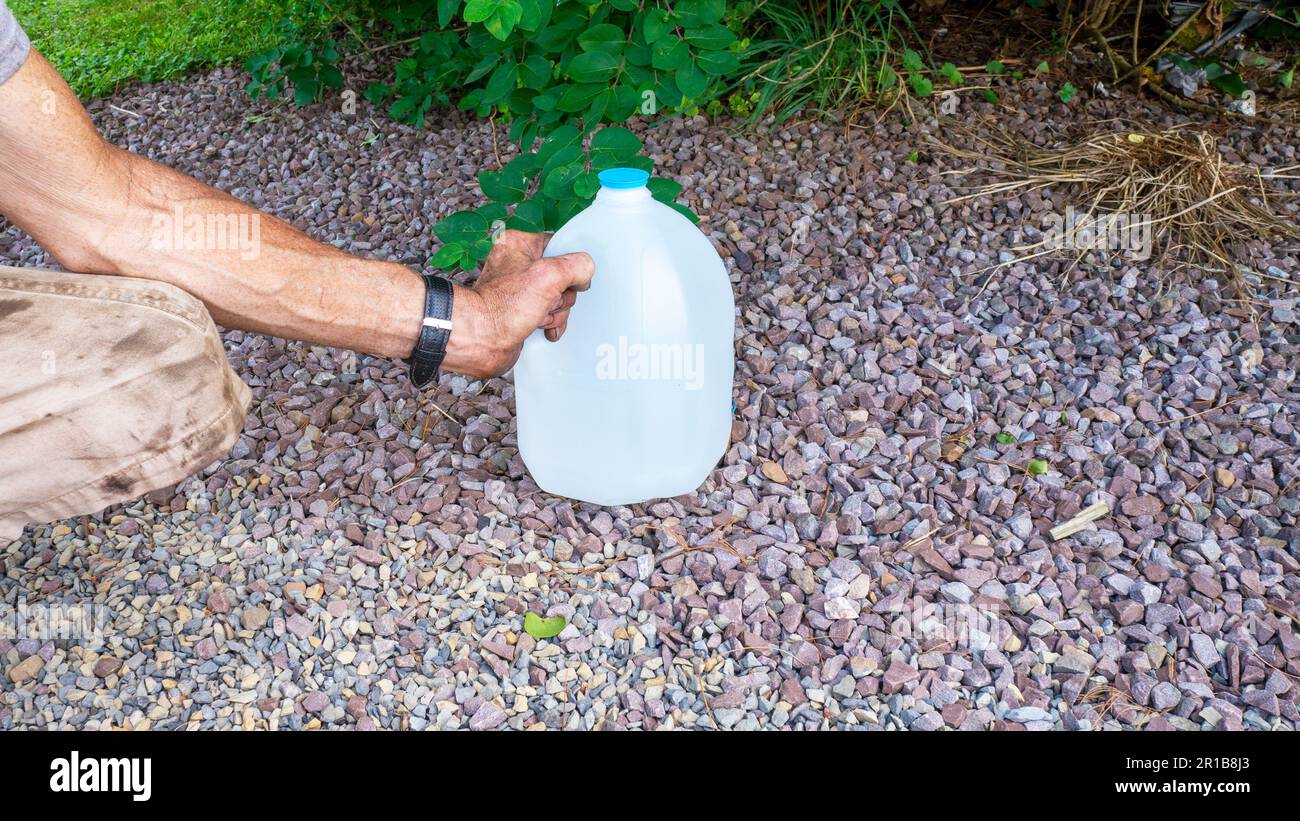 Eine Person, die den Griff eines 1-Liter-Wasserbehälters hält Stockfoto