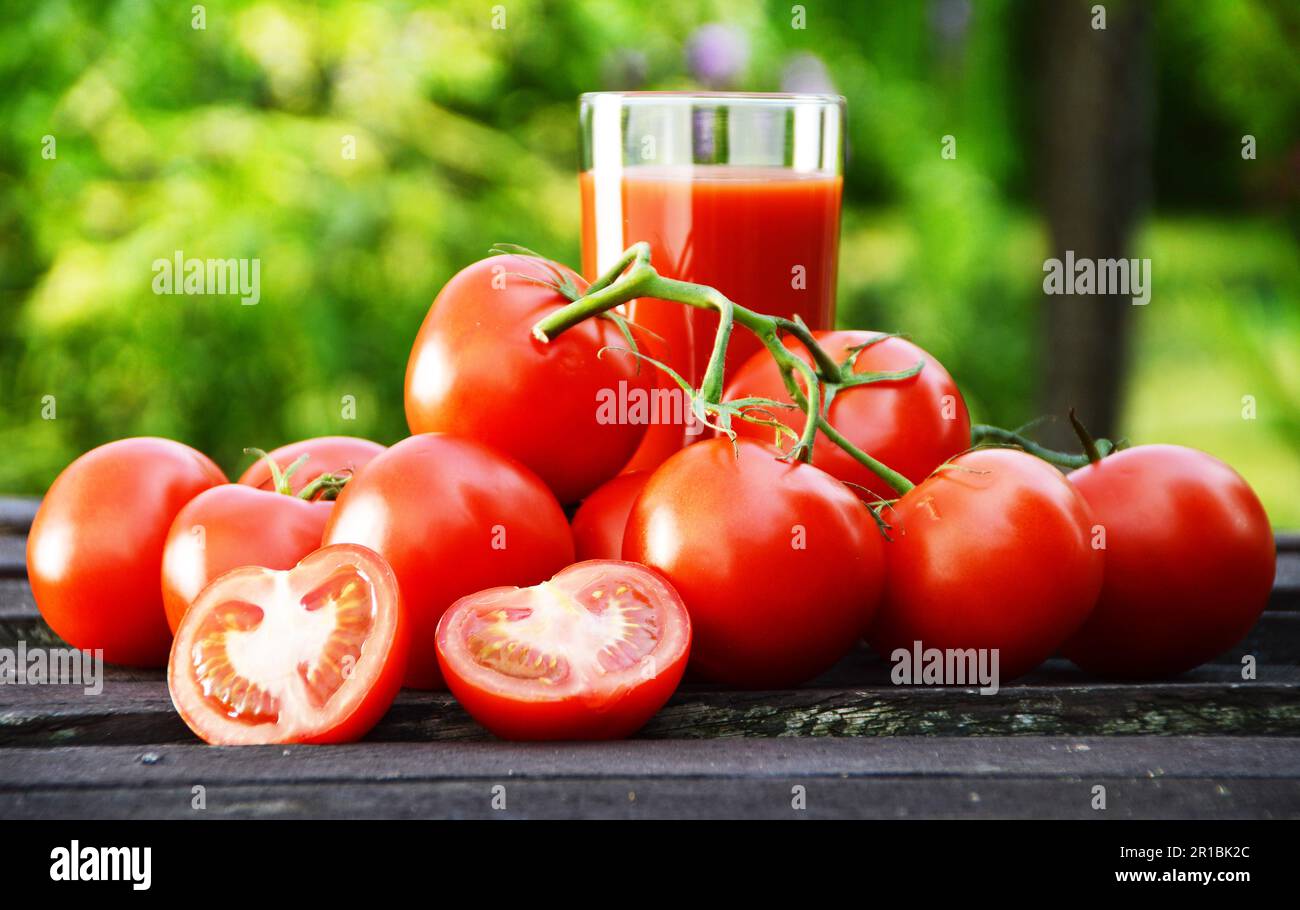 Tomaten und Saft im Garten. Bio-Lebensmittel Stockfoto