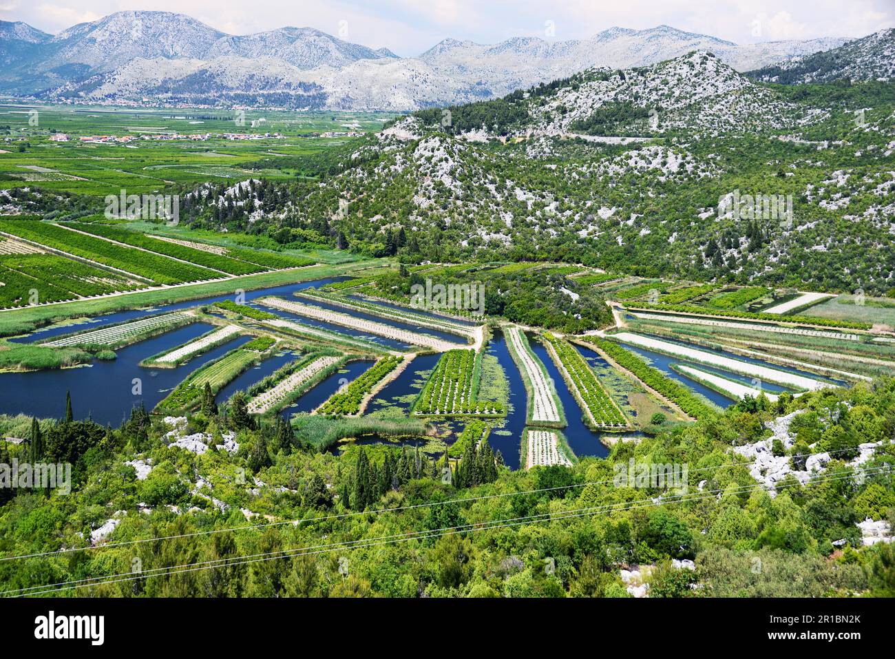 Landwirtschaft in Dalmatien, Kroatien, an der Adriaküste Stockfoto