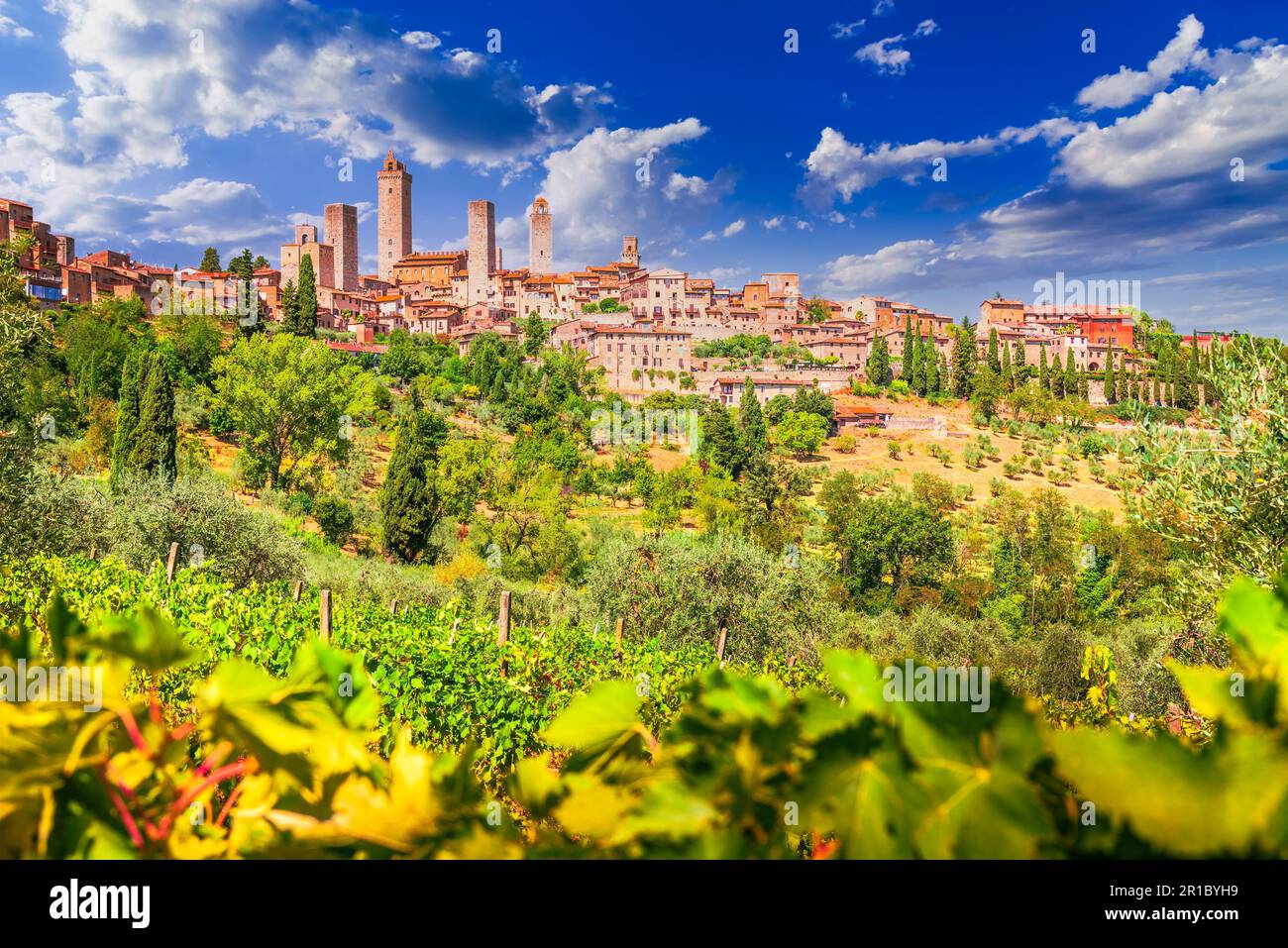 San Gimignano, Italien. Mittelalterliche Skyline der Stadt und berühmte Türme, sonniger Tag. Italienischer Weinberg im Vordergrund. Toskana, einer der berühmten Orte Europas. Stockfoto