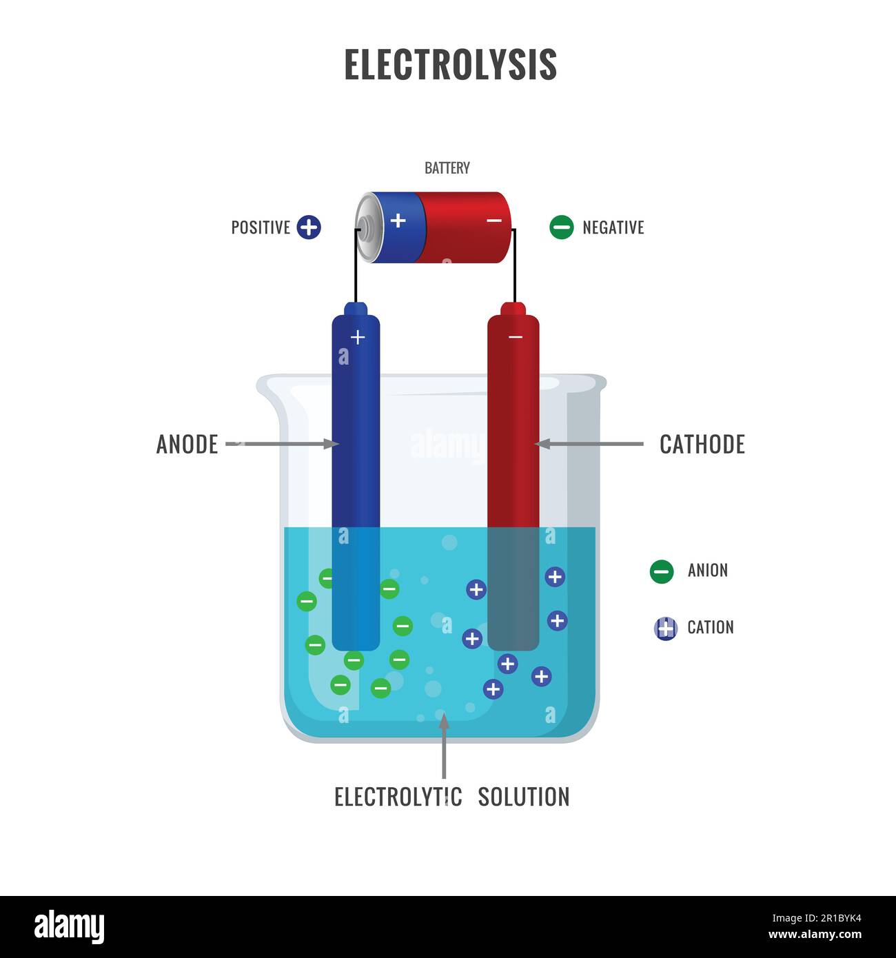 Elektrolyse der Elektrolytlösung Vektordarstellung. Einfacher Elektrolyseprozess eines Elektrolyten. Das bezeichnete pädagogische Experiment bezieht catho ein Stock Vektor