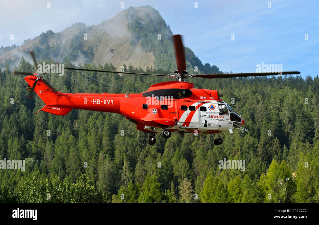 Multifunktionaler Transporthubschrauber AS 332 Super Puma C1 HB-XVY von Heliswiss International AG, der über einem bergigen Waldgebiet, Wallis, Switzerl, fliegt Stockfoto