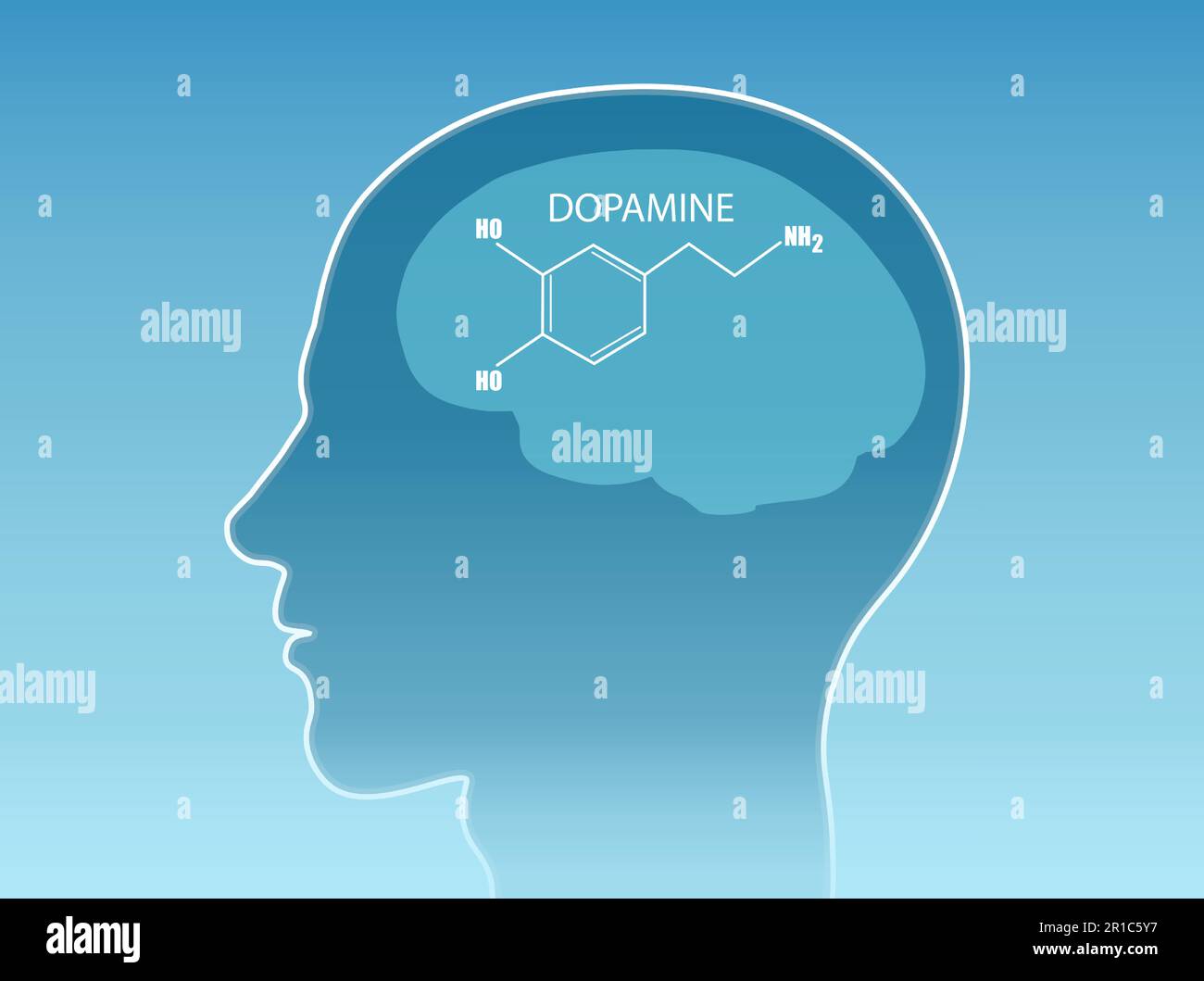 Vektor einer chemischen Formel des Hormons Dopamin im menschlichen Gehirn Stock Vektor