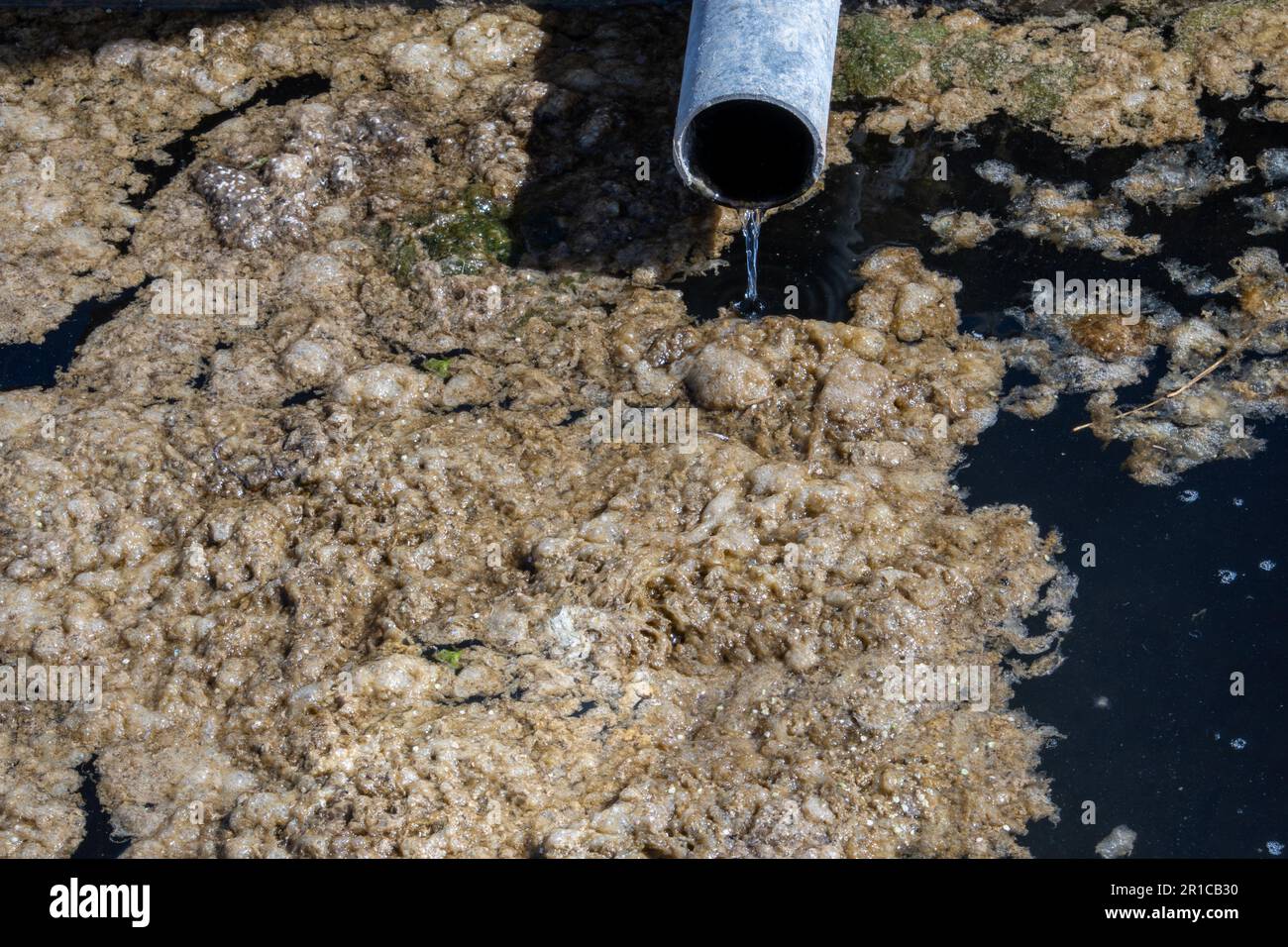 Schmutzwasser fließt aus dem Rohr in den Fluss, Umweltverschmutzung. Kanalisation, Kläranlagen Stockfoto Schmutzwasser fließt aus dem Rohr in den Fluss, Umweltverschmutzung. Kanalisation, Kläranlagen Stockfoto