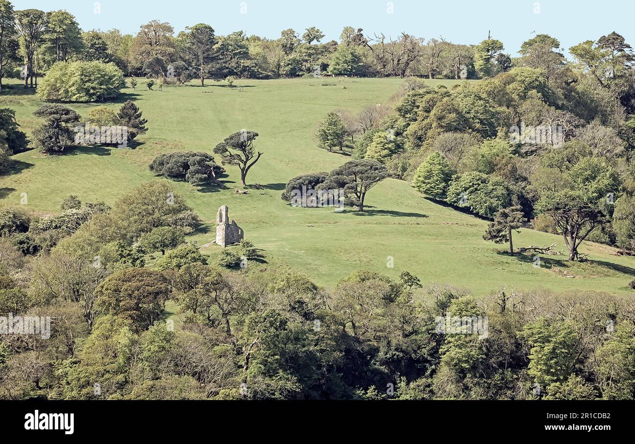 Foto: Langbild eines Wildparks am Mount Edgcumbe Park auf der Rame-Halbinsel im Südosten Cornwalls Stockfoto
