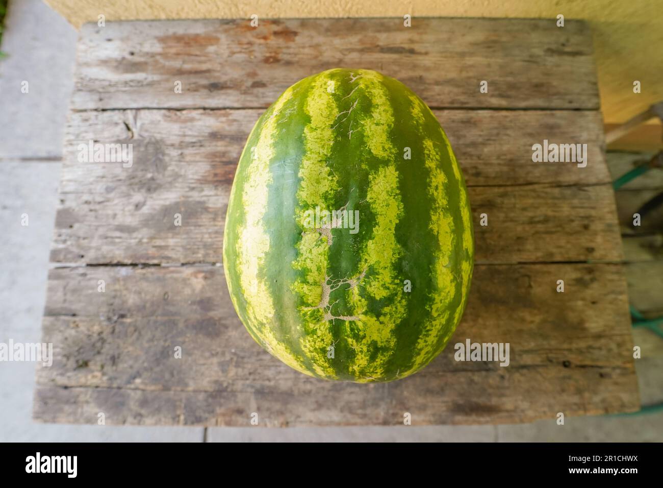 Wassermelone saftiger Sommerspaß im Organic Garden auf einem alten Bauernhaus-Holztisch Stockfoto